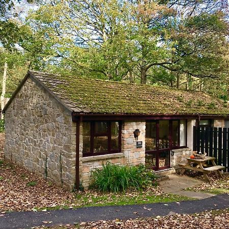 Cosy Woodland Home Uny Lelant 외부 사진