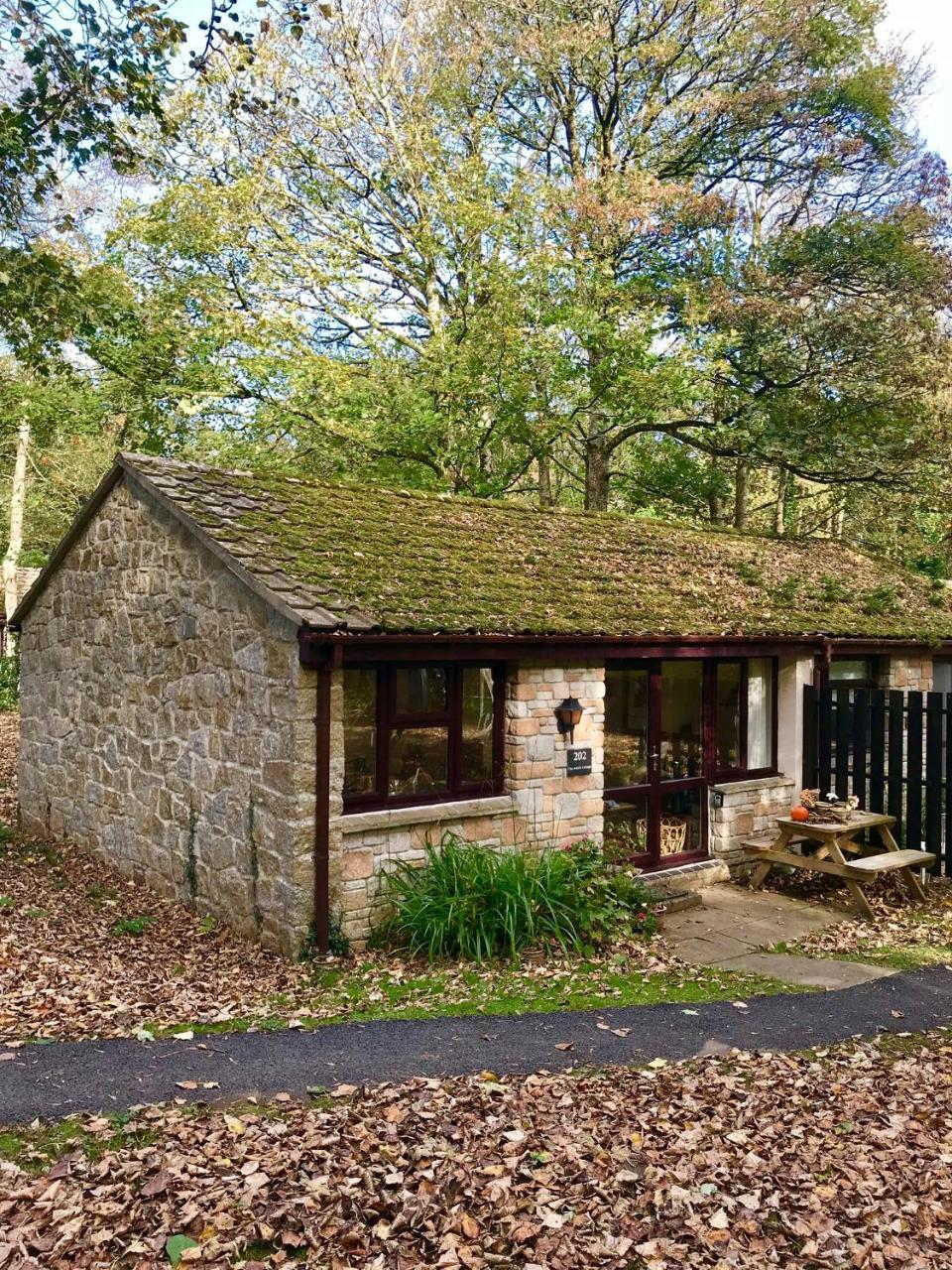Cosy Woodland Home Uny Lelant 외부 사진