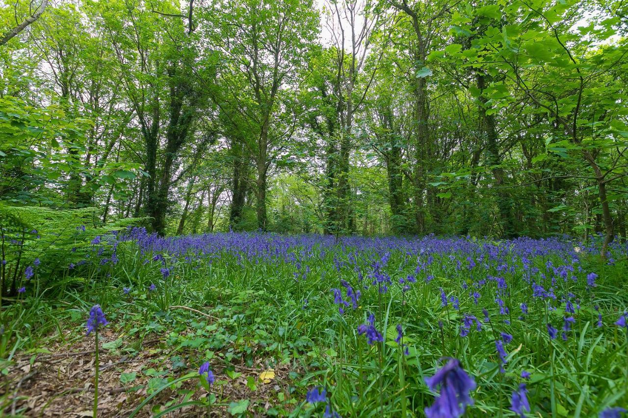 Cosy Woodland Home Uny Lelant 외부 사진