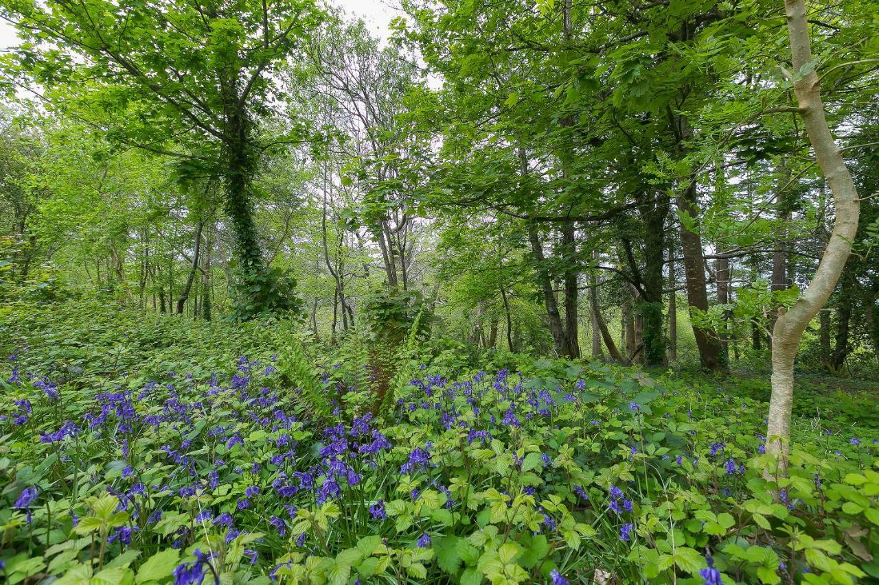 Cosy Woodland Home Uny Lelant 외부 사진